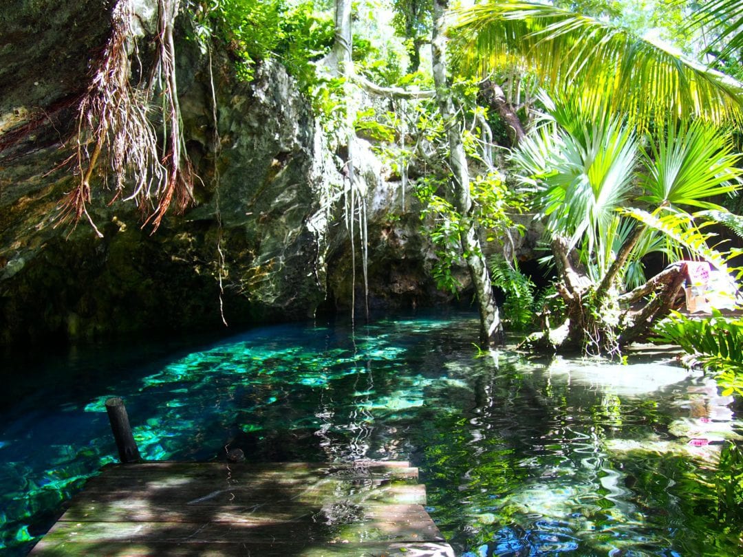 snorkel or scuba in cenotes