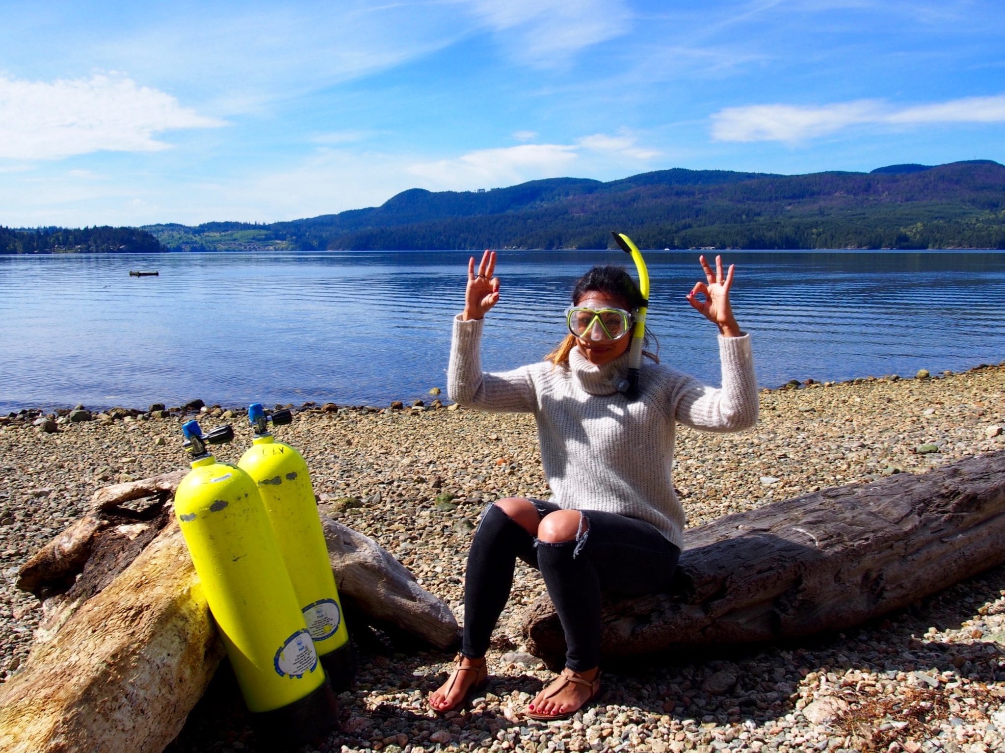 Scuba Diving On The Sunshine Coast Go Live Explore