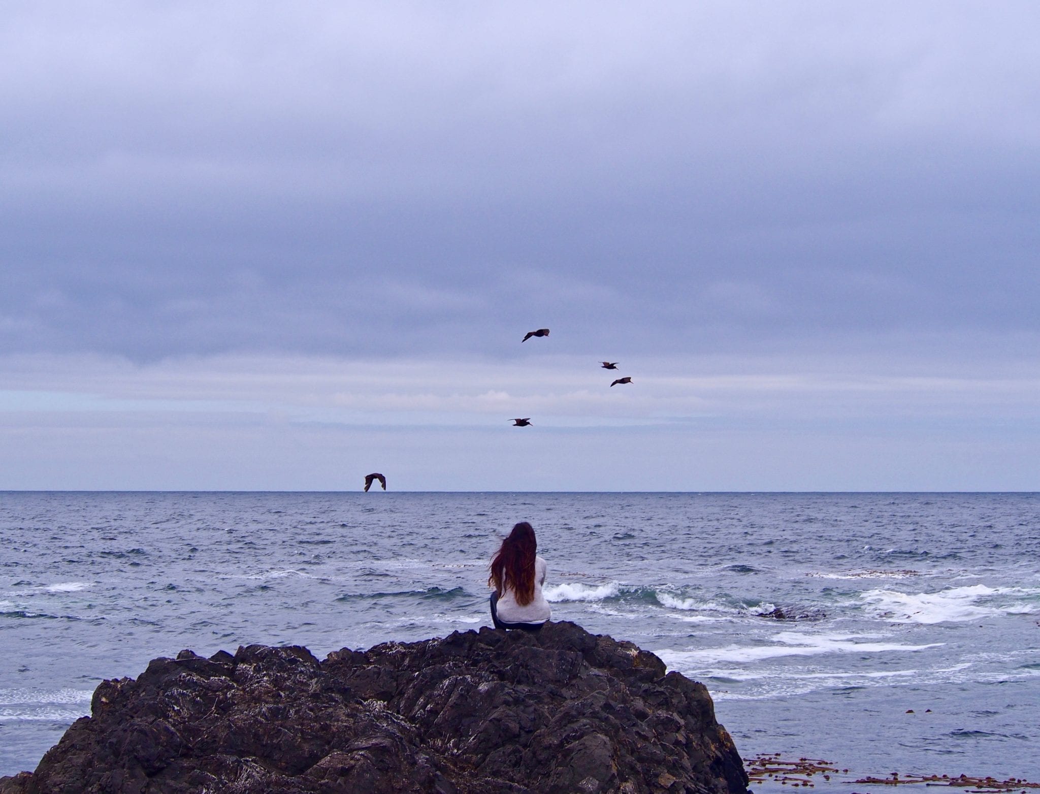 Things To Do In Tofino