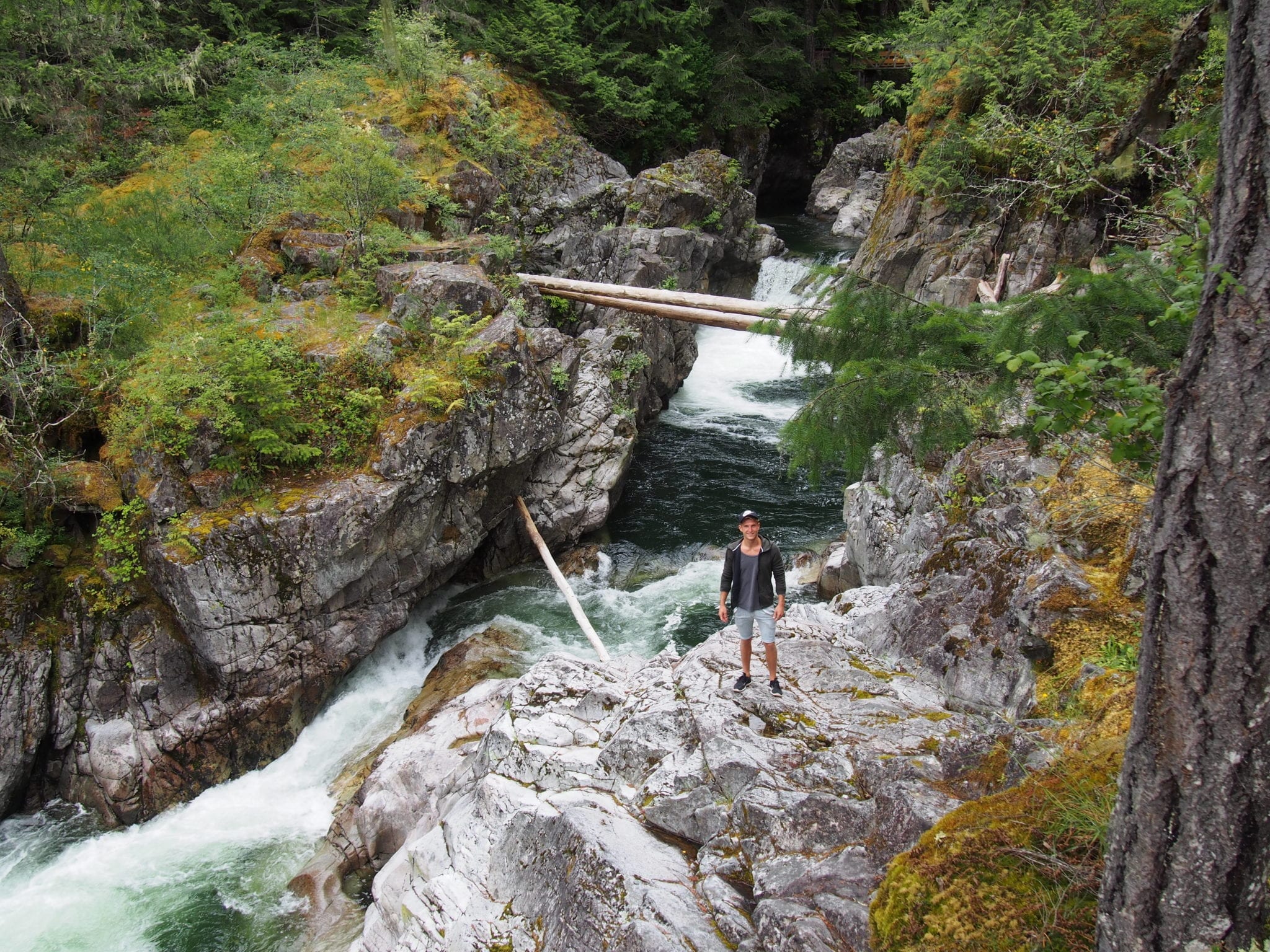 Tofino Road Trip