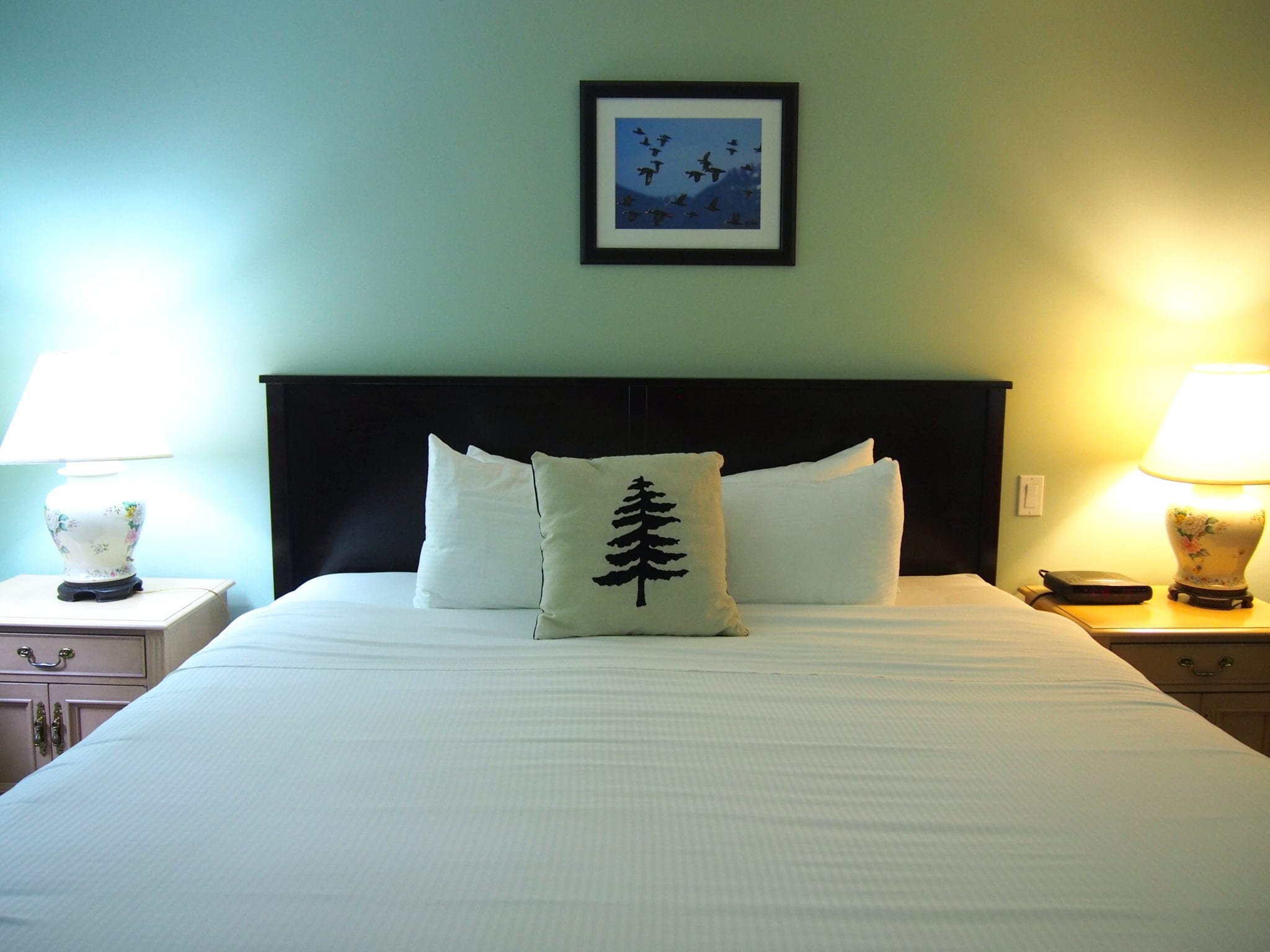 Places To Stay In Tofino