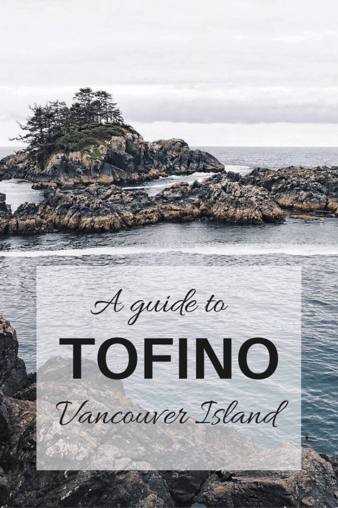 3 Days In Tofino Top Things To See & Do Go Live Explore