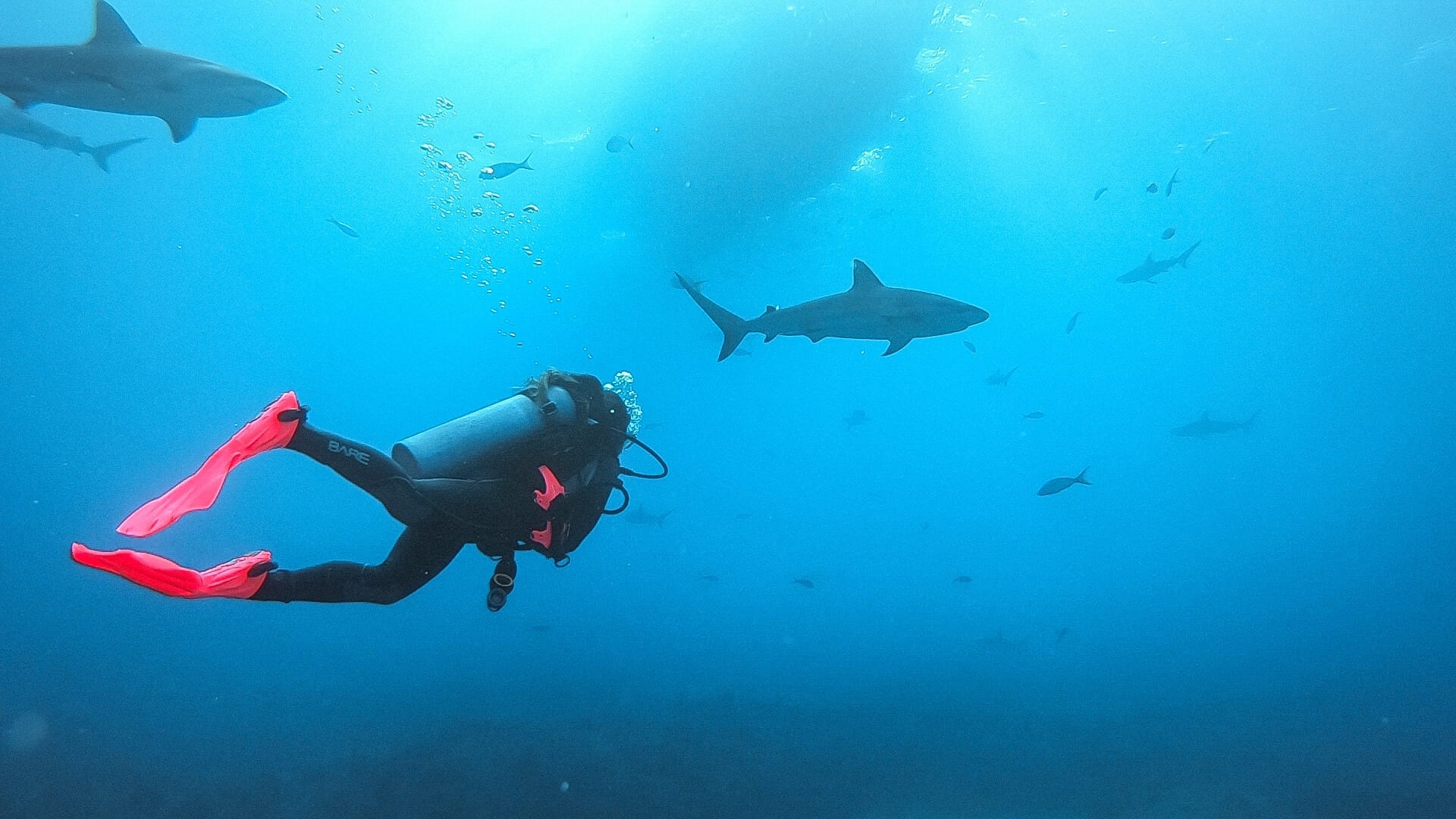 Scuba Diving From A Liveaboard In The Bahamas With The Vancouver Diving