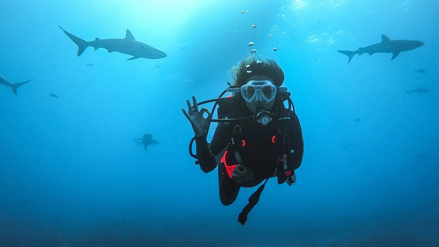 Scuba Diving From A Liveaboard In The Bahamas With The Vancouver Diving